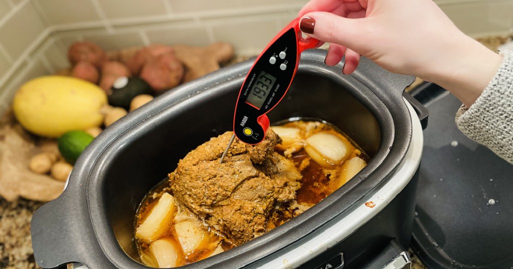 woman using food thermometer to check food temp