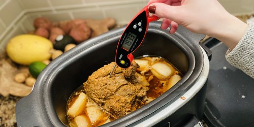 GO! Digital Meat Thermometer Just $7.74 on Amazon | Thousands of 5-Star Reviews