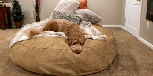 8 Lovesac Bean Bag Knockoffs That Will Save You Hundreds of Dollars!