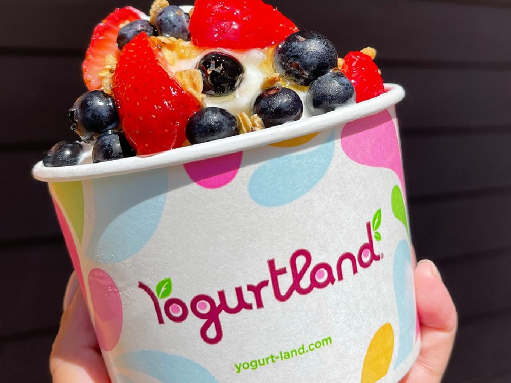 hand holding up cup with frozen yogurt and fruit