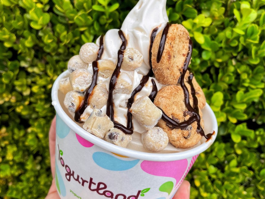 hand holding cup of frozen yogurt with chocolate on top