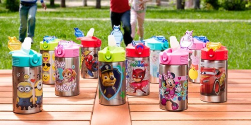 Zak Designs Kids Character Stainless Steel Water Bottles from $10 on Amazon (Regularly $17)