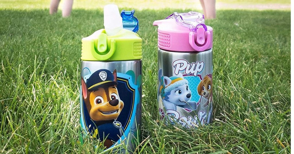 Zak Designs Paw Patrol 15.5oz Stainless Steel Kids Water Bottle with  Flip-up