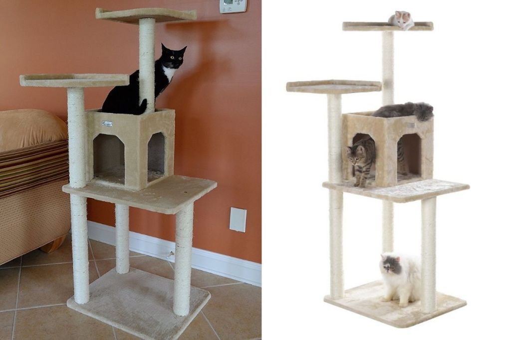 2 views of cats in Armarkat GleePet 57 inch cat tower