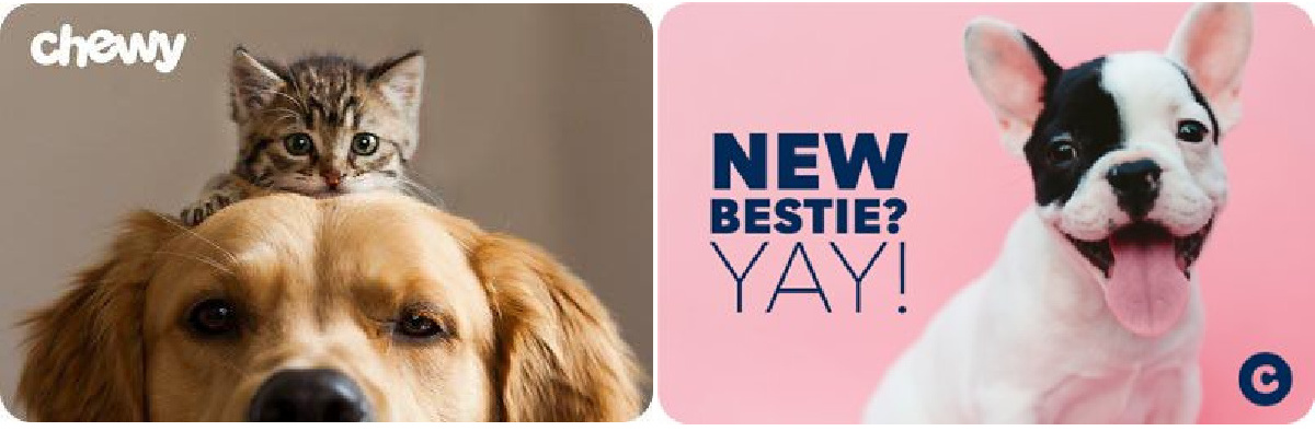 How To Get A Chewy Gift Card - Chewy Gift Card 1 1 