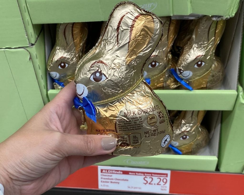 hand holding Choceur Easter Bunny