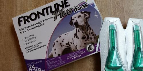 Frontline Plus for Large Dogs 6-Month Supply Just $40.68 Shipped on Amazon | Only $6.78 Per Treatment