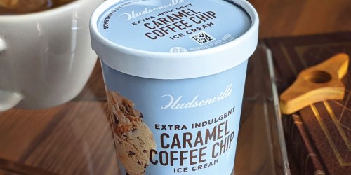 FREE Hudsonville Ice Cream Pint Coupon | Available in Select States