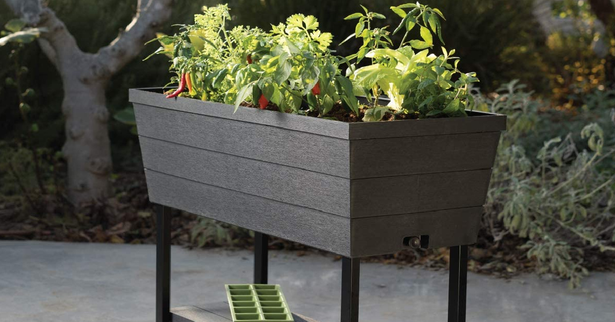 Keter Raised Garden Bed Only 69 98 On, Keter Easy Grow Elevated Garden Bed Home Depot