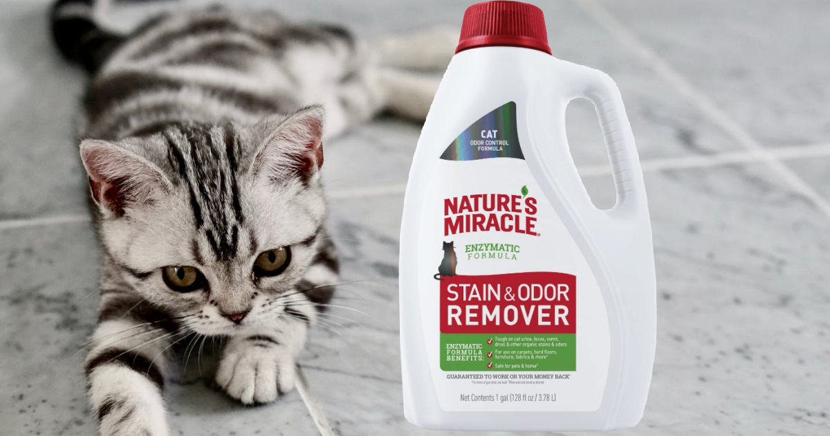 Nature's Miracle Stain & Odor Remover for Cats 1-Gallon Jug