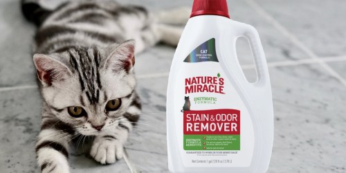Nature’s Miracle Stain & Odor Remover 1-Gallon Jug Only $9.16 (Regularly $27)
