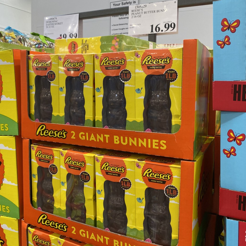 Reese's Giant 1lb Peanut Butter Bunny 2Pack Just 16.99 at Costco
