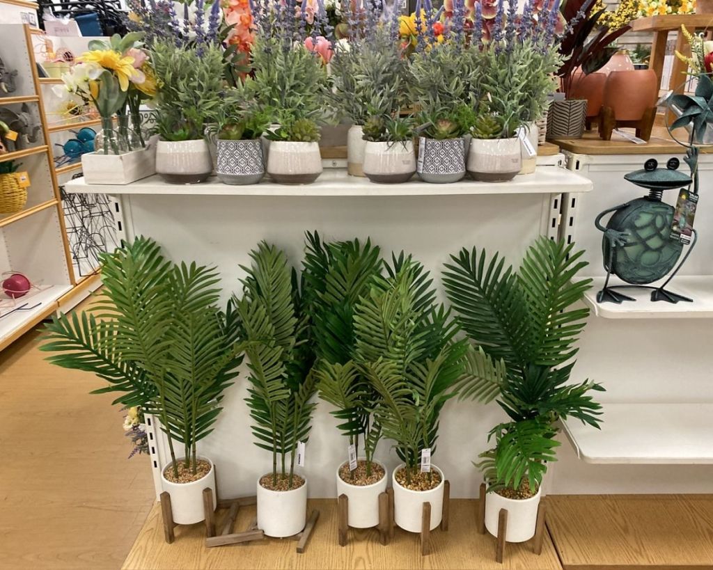 Sonoma Goods for Life Palm in White Pot in store