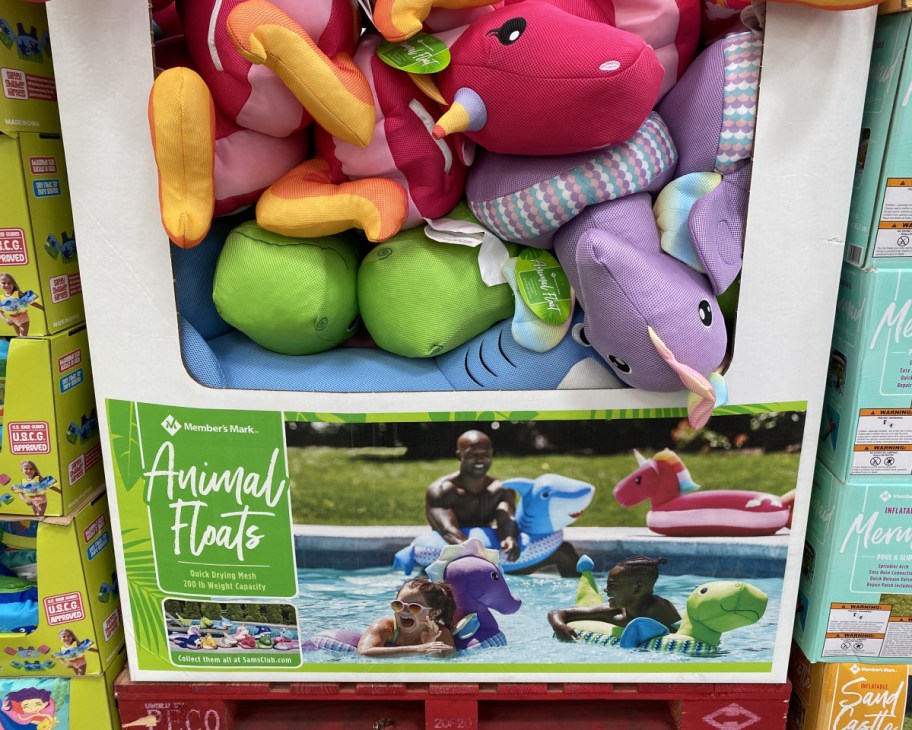 animal pool floats at sams club in store