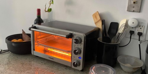 10 Best Toaster Ovens to Buy in 2021 (With Every Budget in Mind!)