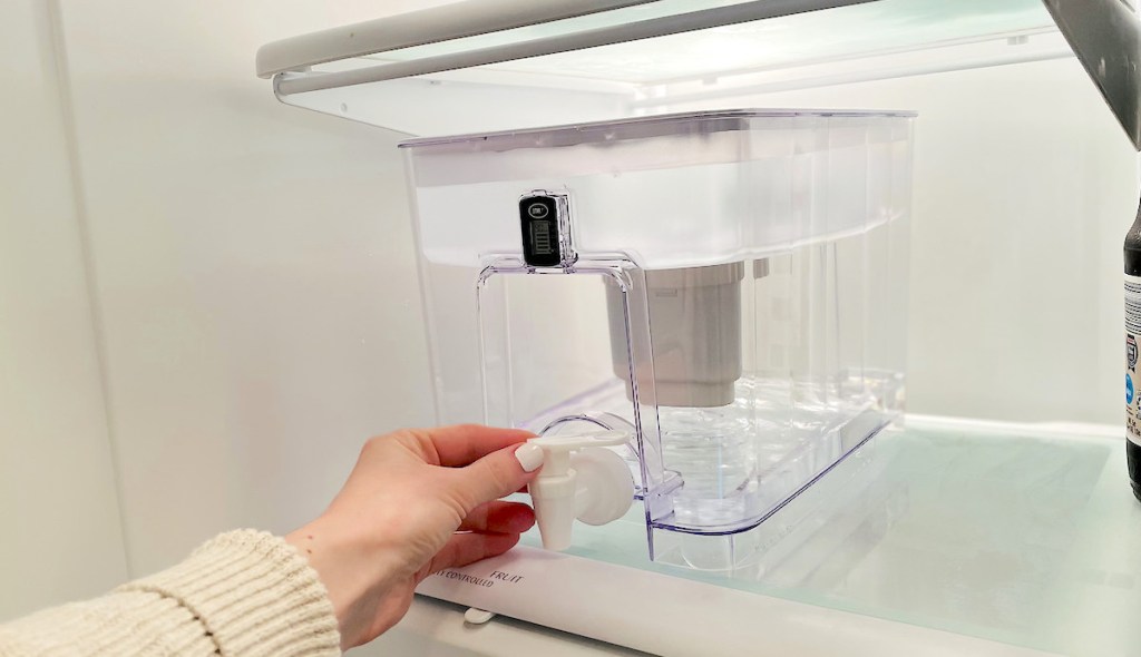 hand holding a white spout on water filter sitting in refrigerator 