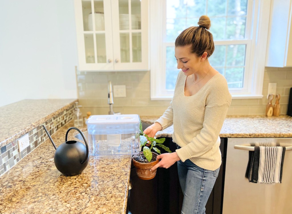 woman holding plant under water filter tank on kitchen counter