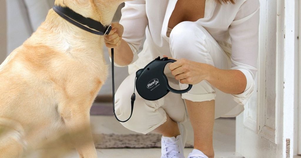 woman hooking black Flexi leash to dog