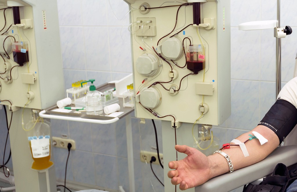 How To Get Paid For Donating Blood Plasma