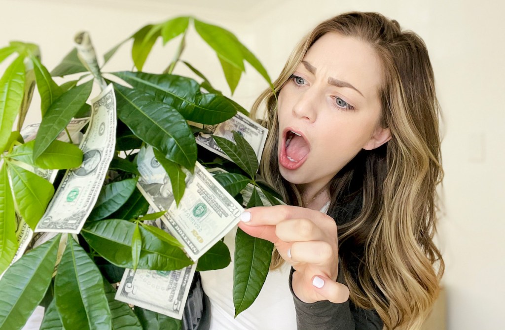 woman pulling twenty dollar bill off money tree