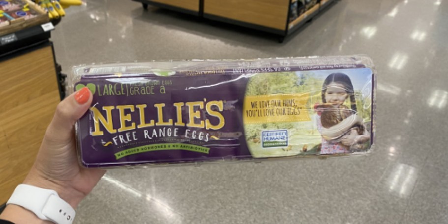 Best Publix BOGO Deals | Nellie’s Eggs, Just Bare Chicken Thighs, & More