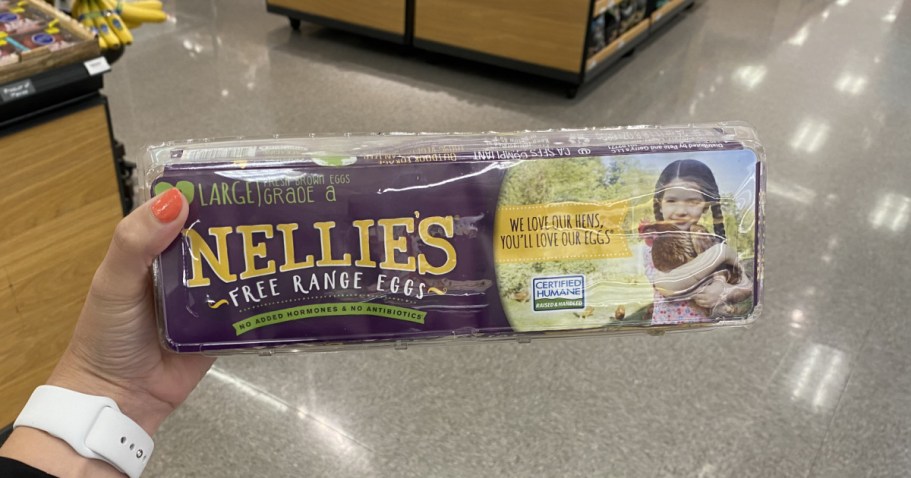 Best Publix BOGO Deals | Nellie’s Eggs, Just Bare Chicken Thighs, & More