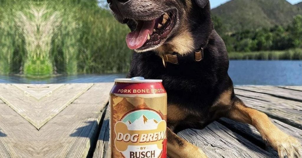 Busch Dog Brew in front of large dog