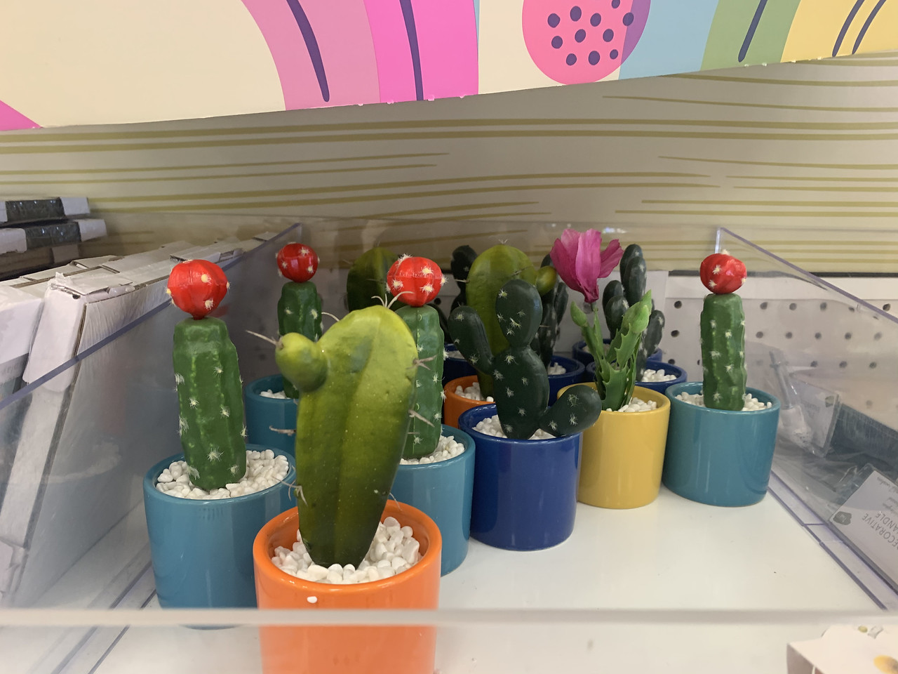 Ceramic Succulents in Target dollar bin