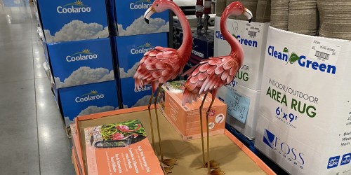 Pink Flamingo Metal Statue 2-Pack Only $29.99 at Costco