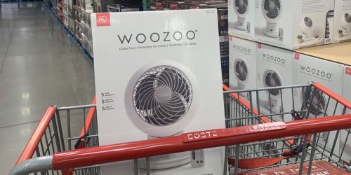 Woozoo Oscillating Fan w/ Remote Only $46.99 at Costco