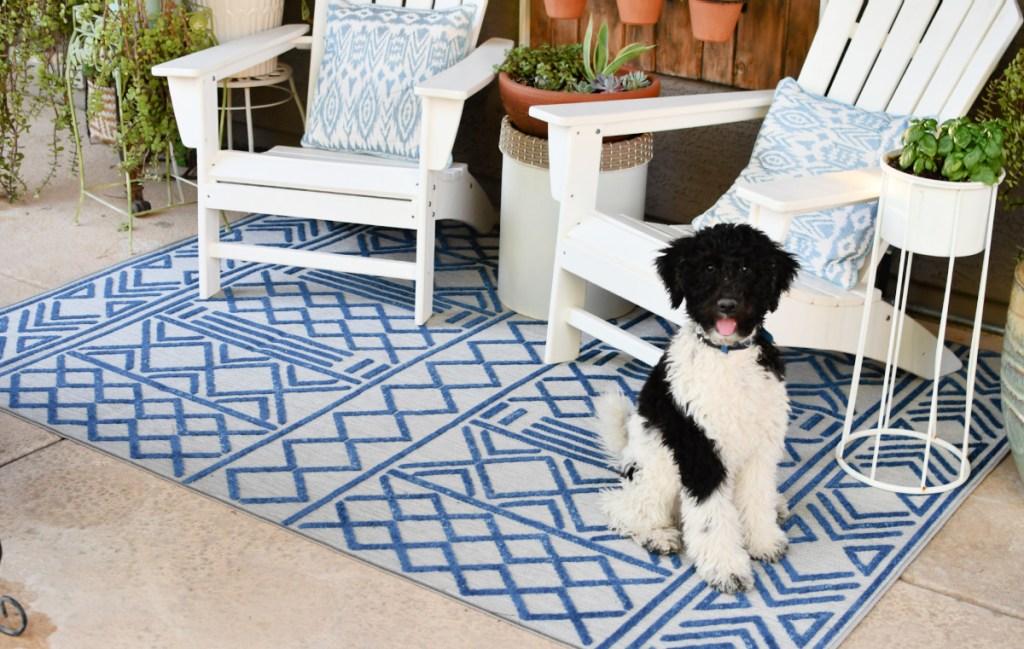 blue and gray rug from boutique rugs 