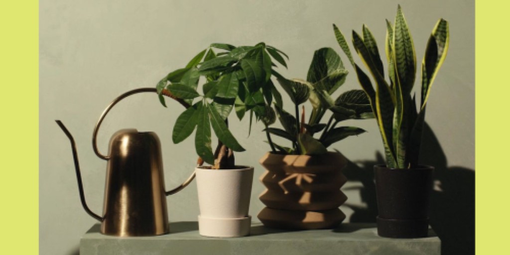 New Hilton Carter Line Launching at Target on May 14th | Faux & Live Plants, Planters, & More!