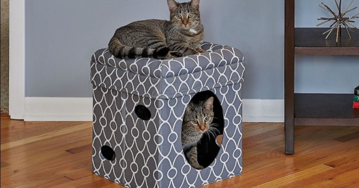 cat tree home goods