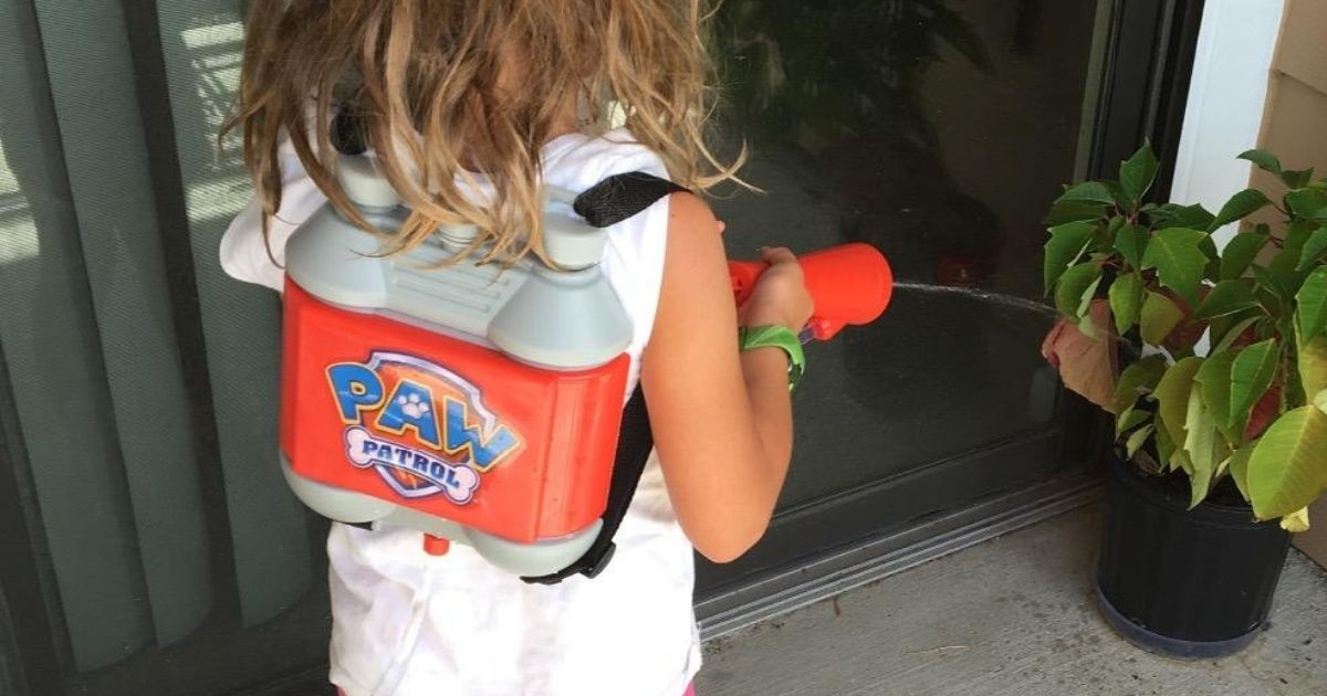 Paw patrol 2024 water pack