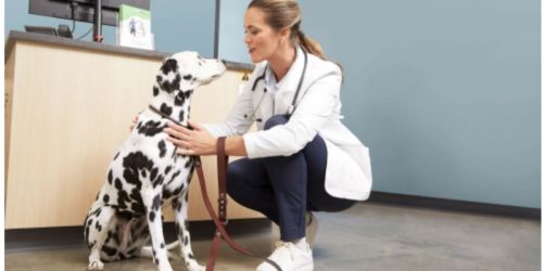 Save on Vet Bills & Dog Grooming with Petco’s New Vital Care Program