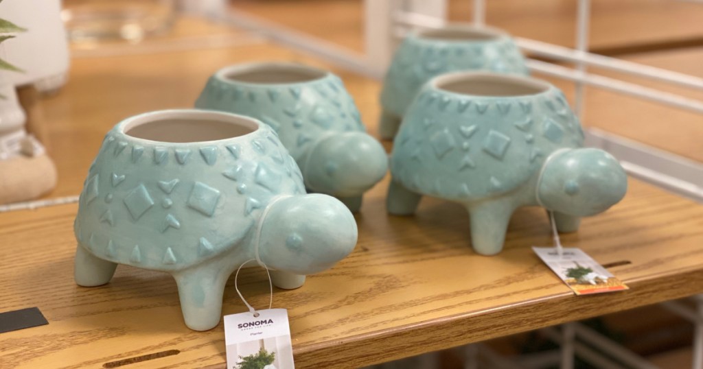 turtle planters at kohl's