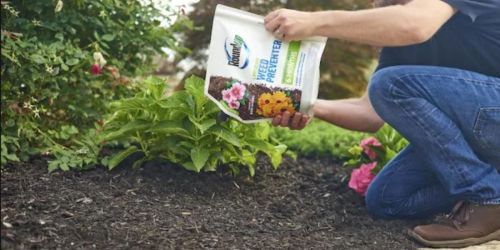 Roundup Landscape Pre-Emergent Weed Killer Only $4.81 at Lowe’s (Regularly $20)