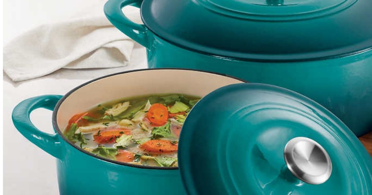 TRAMONTINA VS LODGE DUTCH OVEN - What is the best buy?