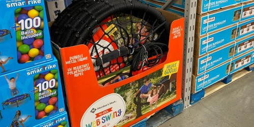 Member’s Mark 40″ Webbed Nest Swing Just $49.98 at Sam’s Club | In-Store & Online