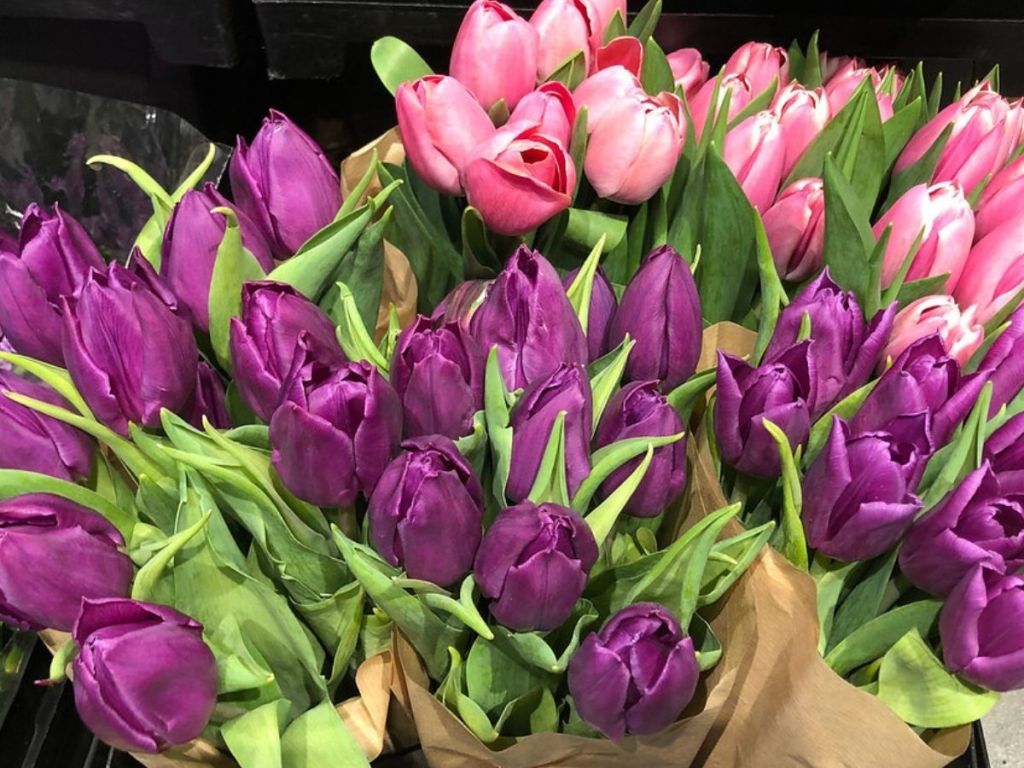 Whole Foods Tulips