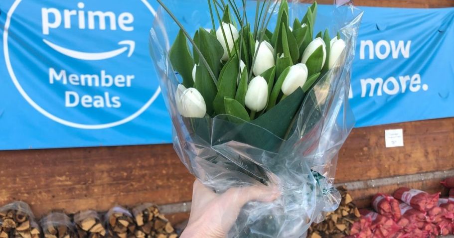 Whole Foods 15-Stem Tulips Only $9.99 for Amazon Prime Members (Starting 5/8)