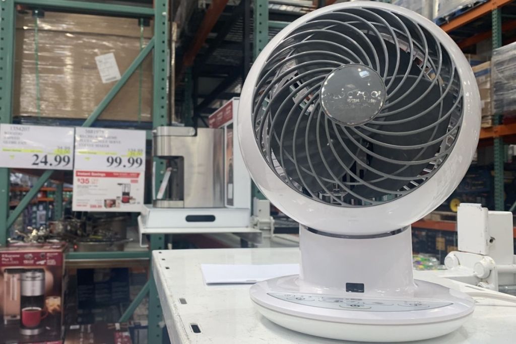 Woozoo 5 -speed globe fan in store with signage