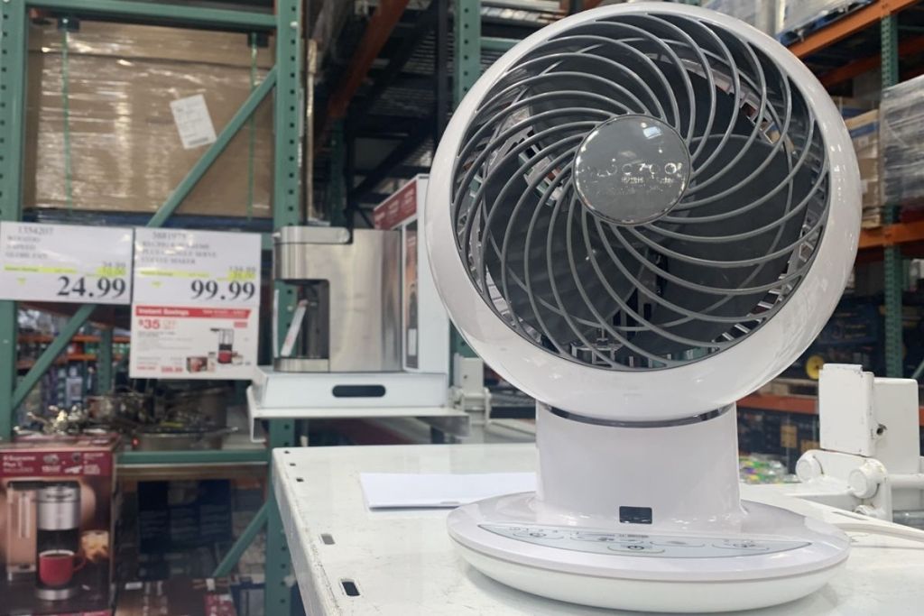 Woozoo 5Speed Globe Fan Only 24.99 at Costco Available Now