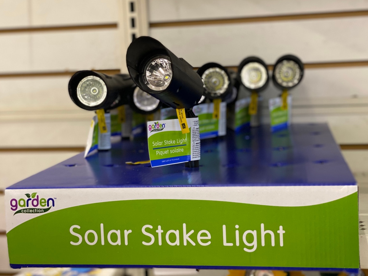 solar stake lights at Dollar Tree