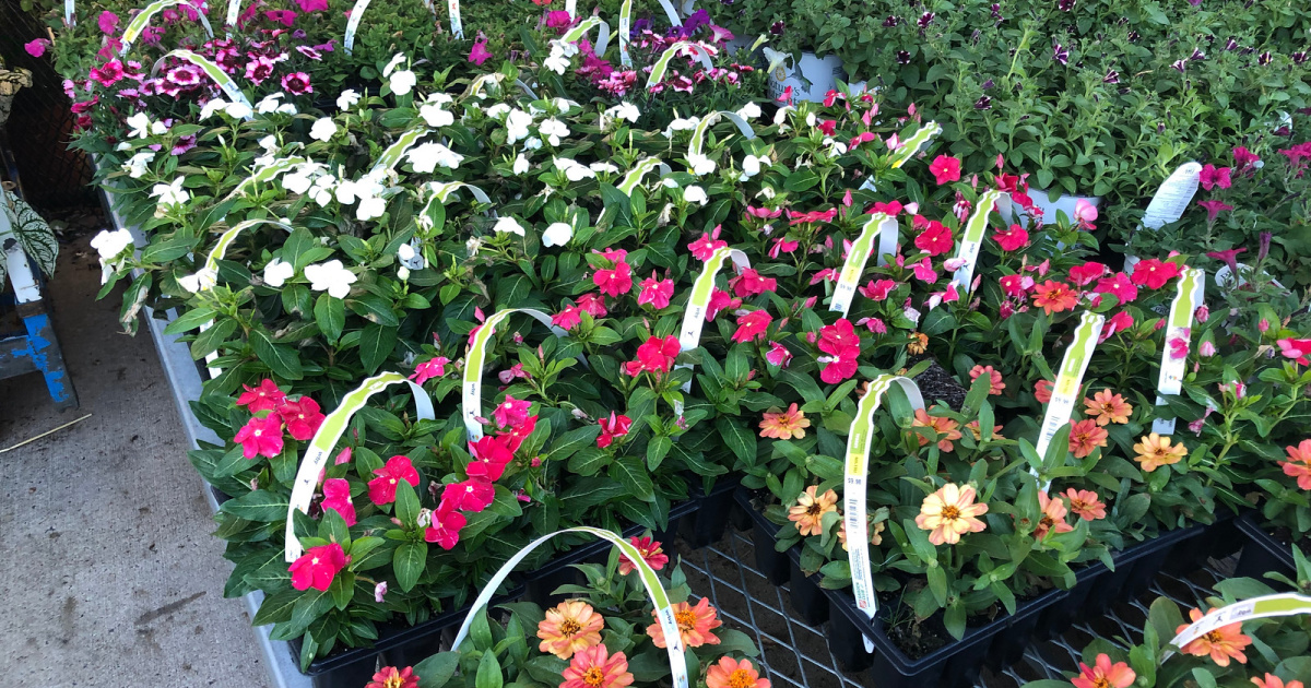 Home Depot Spring Savings Event Ends Tonight Save On Gardening Supplies Outdoor Furniture More Hip2save