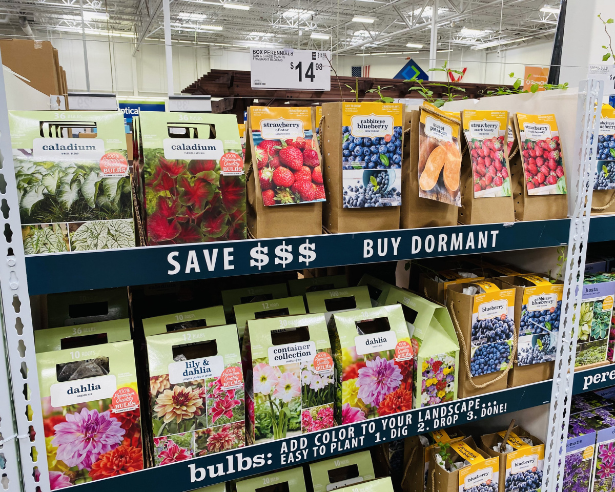 Bulb & Dormant Plant Packs Just 14.99 at Sam's Club