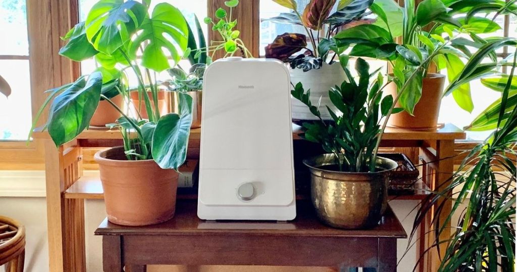 white homech humidifier on wooden table surrounded by plants