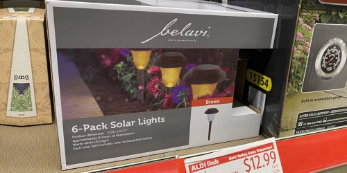 Solar Lights 6-Pack Only $12.99 at ALDI + Other Outdoor Finds