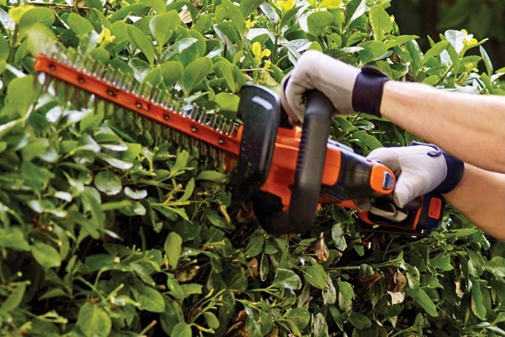 person using Black+Decker Hedger outside