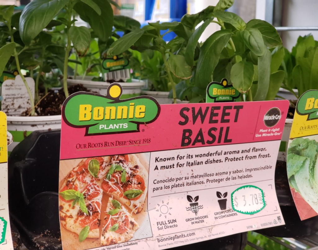 Bonnie Plants on display in-store